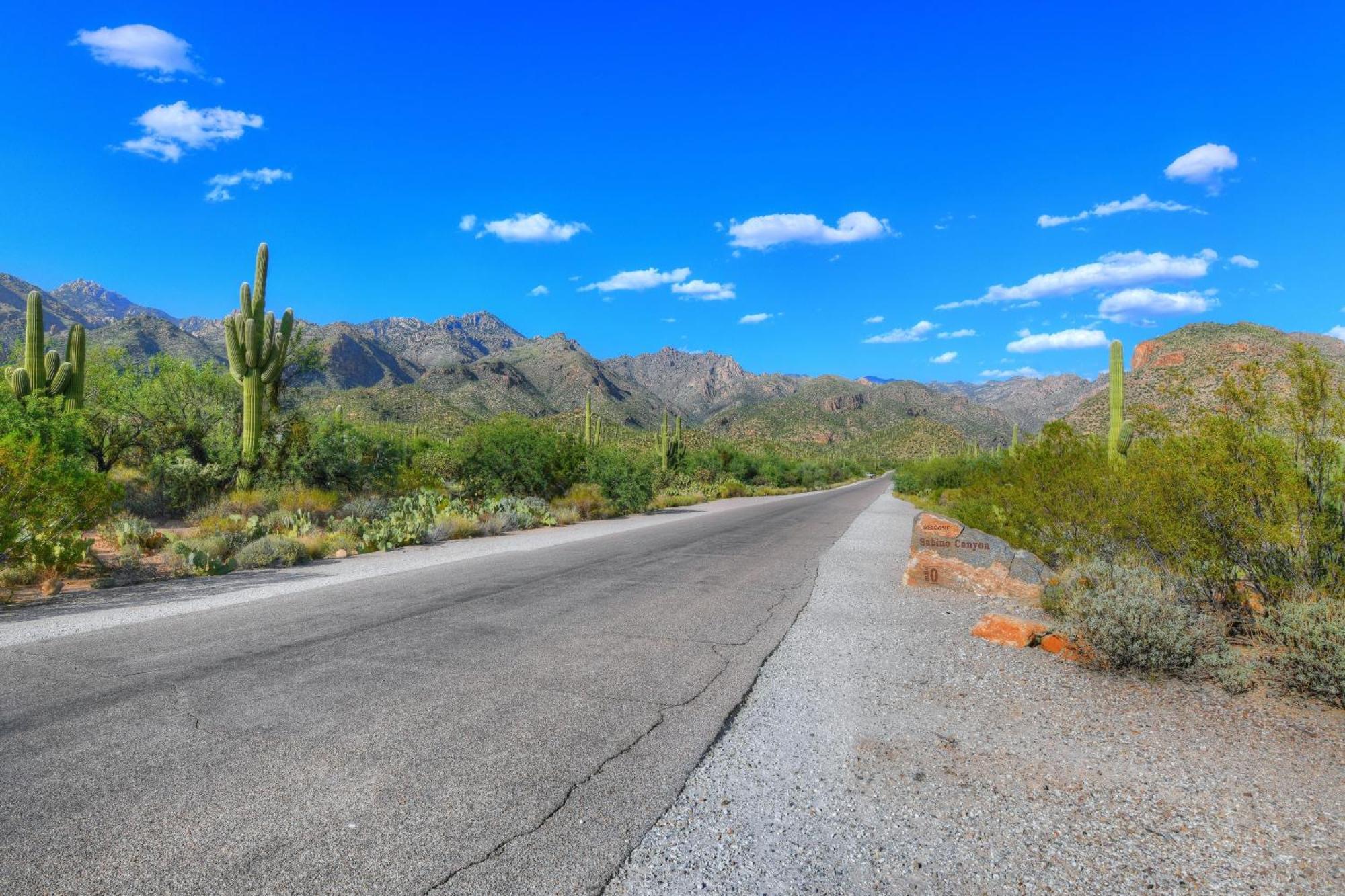 Sabino Canyon * Tucson