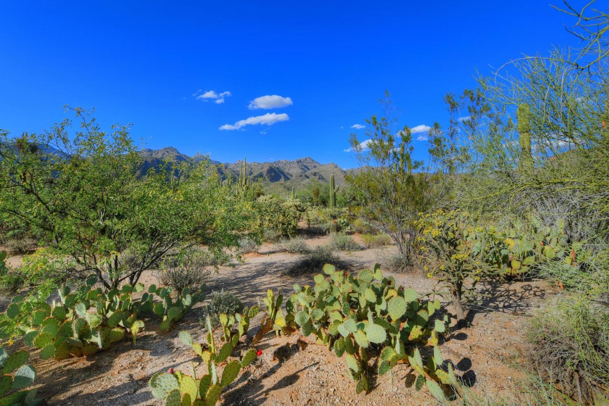 Apartamento Sabino Canyon Tucson